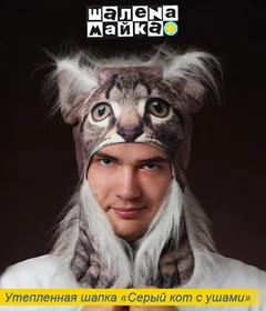 Прикольная шапка: шапка серый кот с ушами